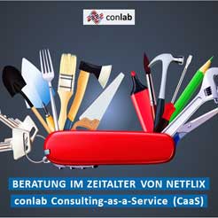 conlab Consulting as a service